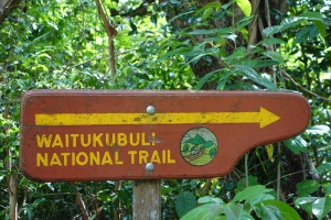 WAITIKUBULI