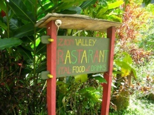 dominica_moses_sign_scale